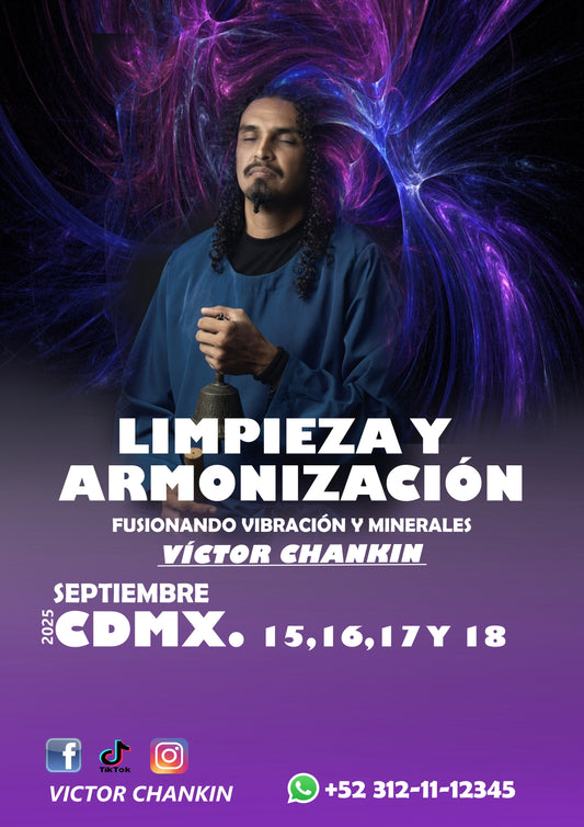 LIMPIEZA Y ARMONIZACIÓN CDMX.