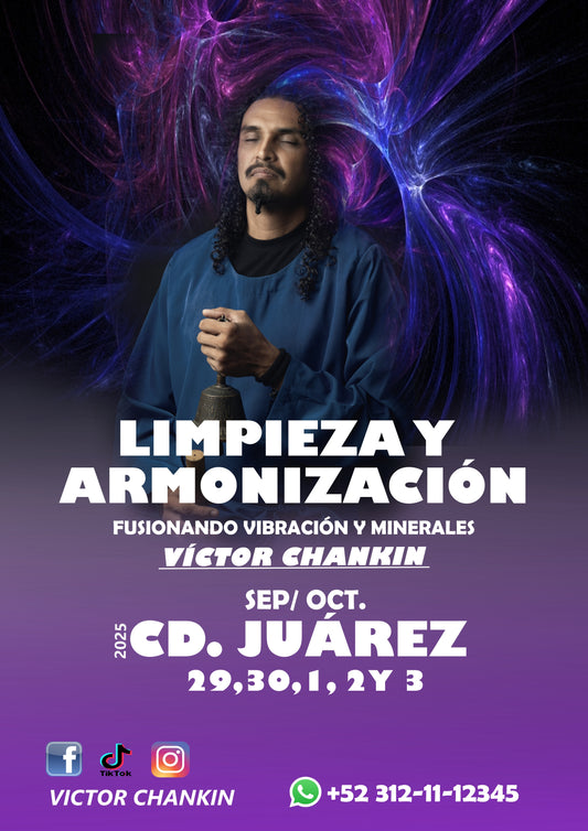 LIMPIEZA Y ARMONIZACIÓN CD. JUÁREZ CH.